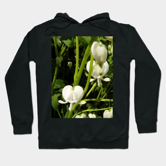 white bleeding heart macro Hoodie by DlmtleArt